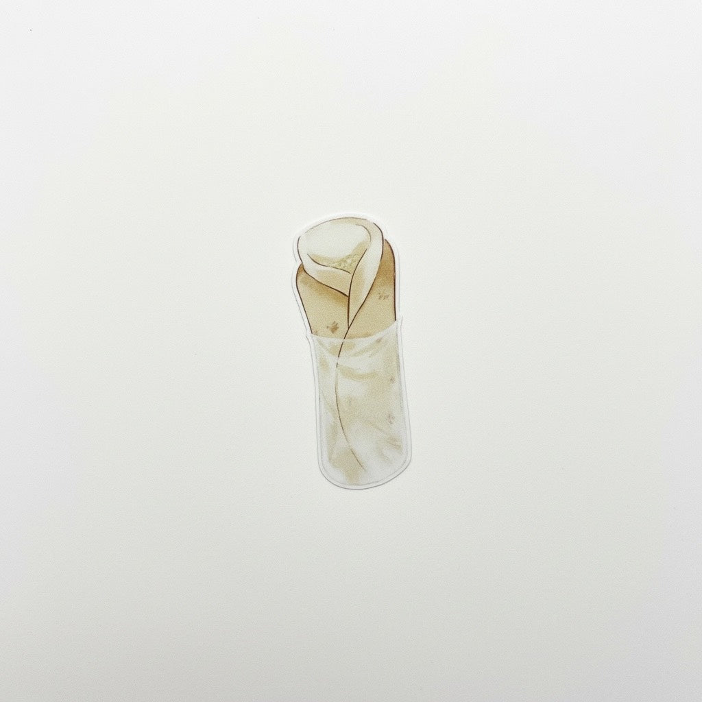 Nicaragua Sticker Pack (6-Piece Set)